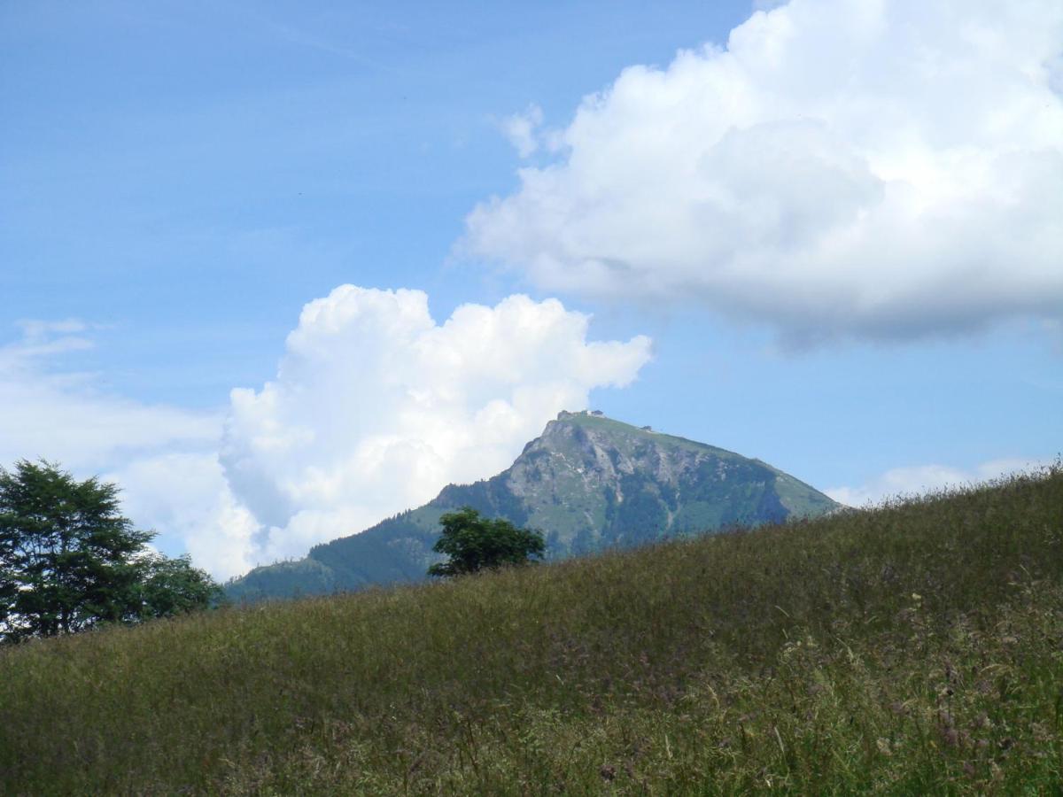Apartment Am Wolfgangsee Strobl Ngoại thất bức ảnh