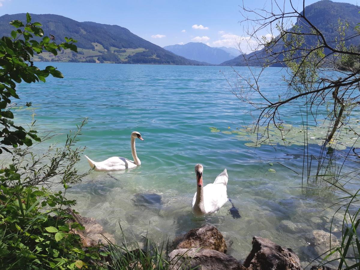 Apartment Am Wolfgangsee Strobl Ngoại thất bức ảnh